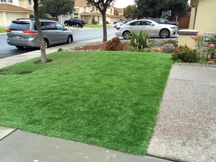 Grass Carpet Yosemite Lakes, California Home And Garden, Landscaping Ideas For Front Yard