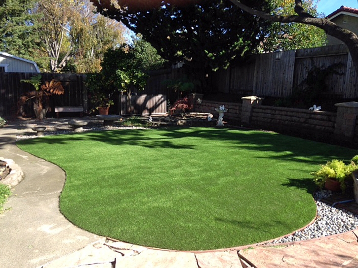 Grass Installation Hughson, California Landscaping Business, Backyard Designs