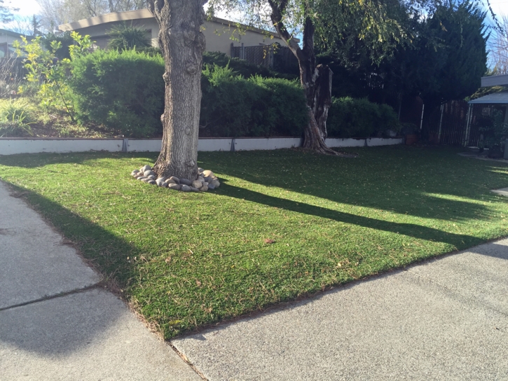 Grass Installation Pajaro, California Garden Ideas, Front Yard Landscaping