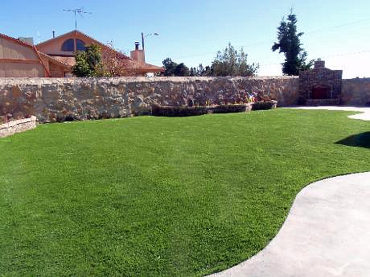 Grass Installation Parksdale, California Backyard Playground, Small Backyard Ideas