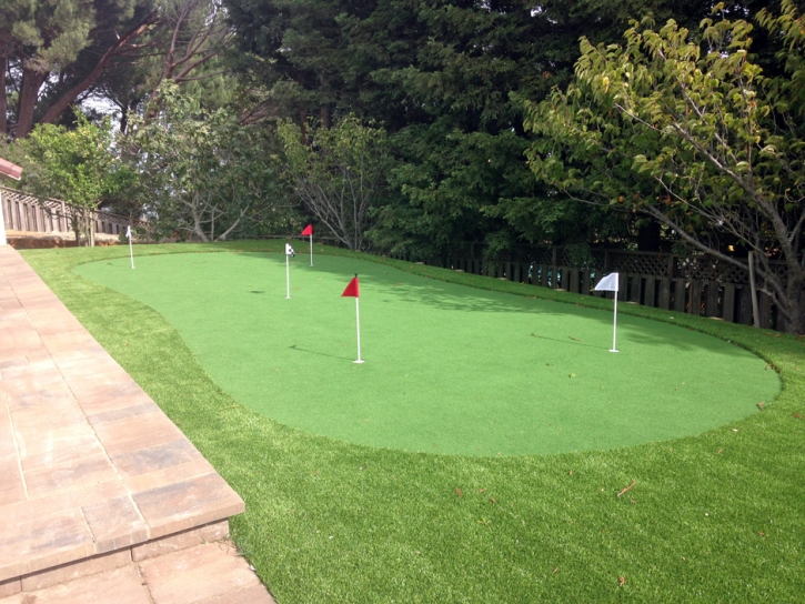 Grass Turf Bonita, California Best Indoor Putting Green, Small Backyard Ideas