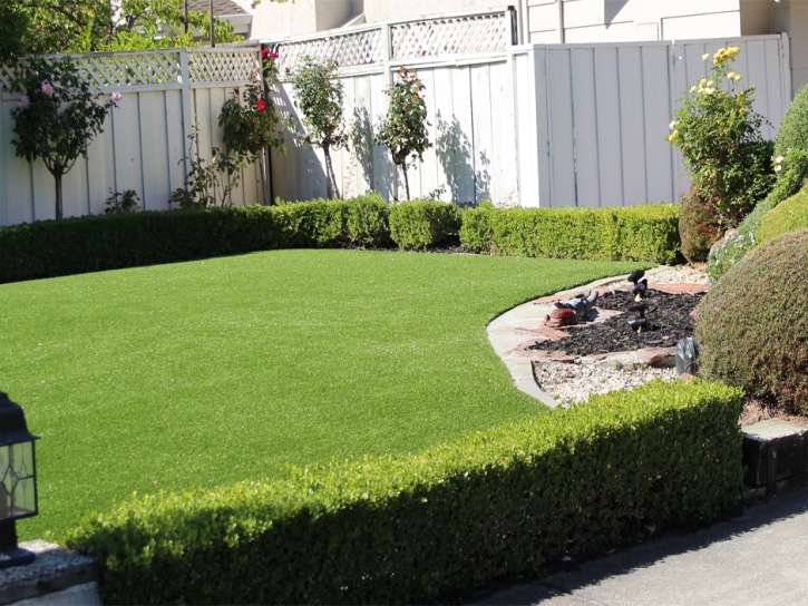 Grass Turf Borrego Springs, California Rooftop, Backyard Landscape Ideas