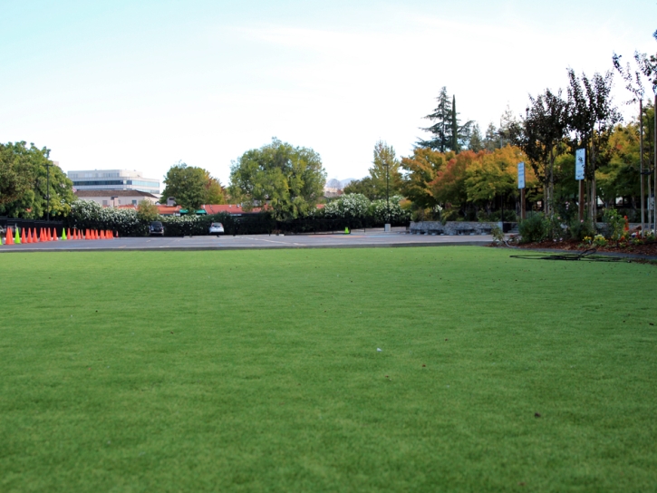 Grass Turf Granite Hills, California Lacrosse Playground