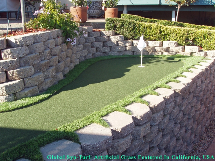 Grass Turf Maywood, California Landscape Ideas, Backyards