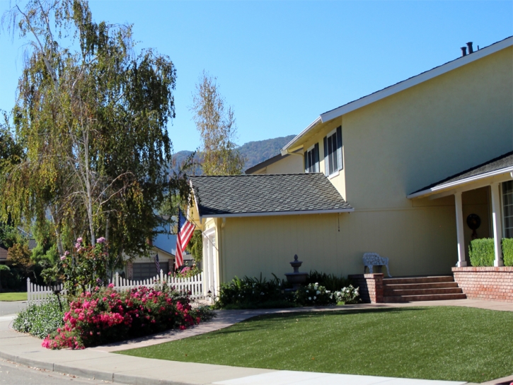 Green Lawn El Cajon, California Lawns, Front Yard