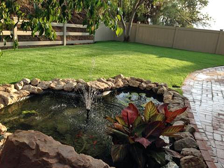 Green Lawn Madera, California Landscape Ideas, Backyard Makeover