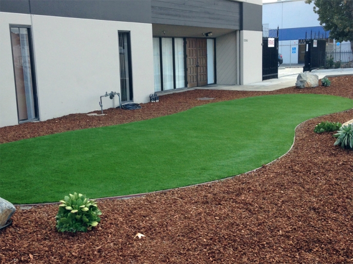 Green Lawn Mesa Verde, California Backyard Playground, Commercial Landscape