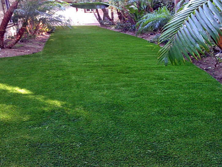 Green Lawn Round Valley, California Roof Top, Backyards