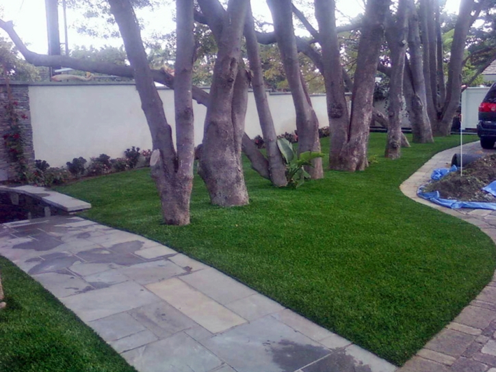 Green Lawn Sky Valley, California Roof Top, Front Yard Ideas