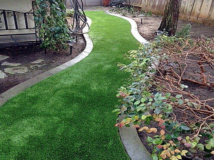 Installing Artificial Grass Amesti, California Lawn And Landscape, Backyard