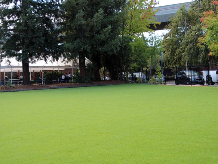 Installing Artificial Grass Bostonia, California Landscape Rock, Commercial Landscape