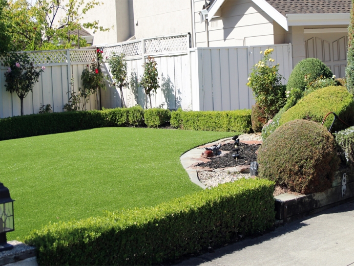 Installing Artificial Grass Centerville, California Lawn And Garden, Front Yard Ideas