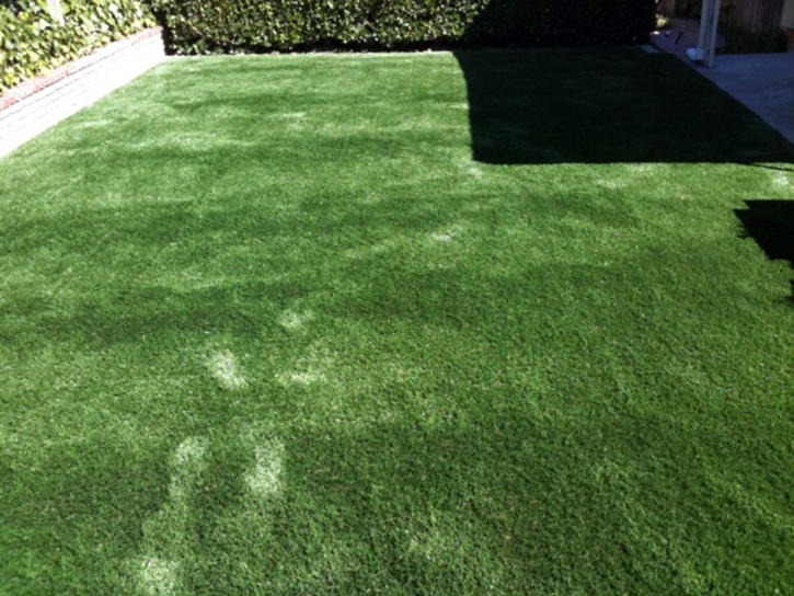 Installing Artificial Grass Plainview, California Hotel For Dogs, Backyard Design