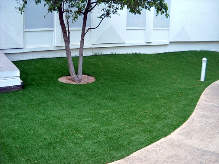 Lawn Services Cartago, California Lawns, Commercial Landscape