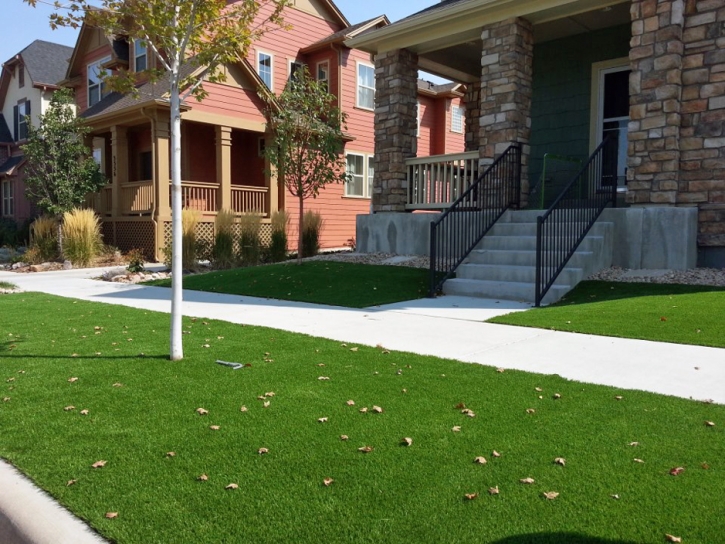 Lawn Services Lynwood, California Lawns, Front Yard Design