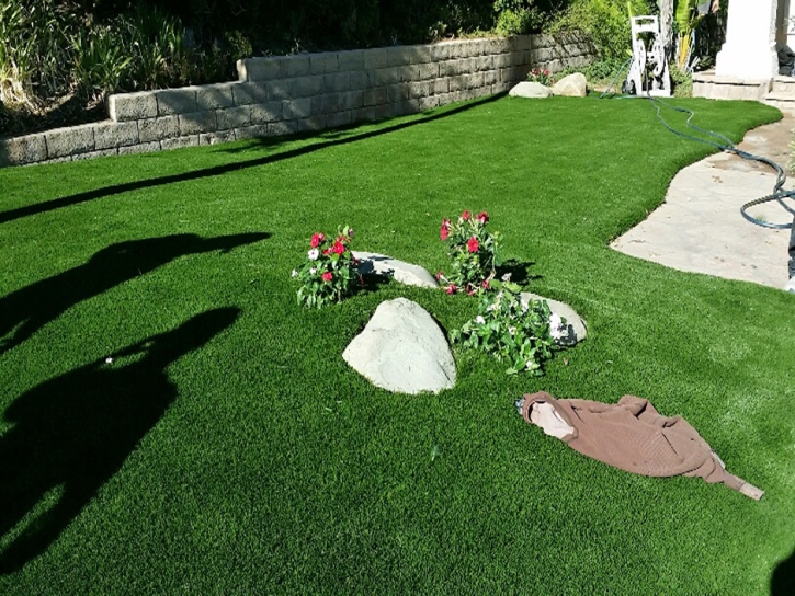 Lawn Services Santa Ynez, California Backyard Playground, Front Yard Ideas