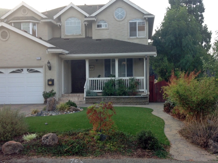 Outdoor Carpet Hollister, California Landscape Ideas, Front Yard Landscape Ideas