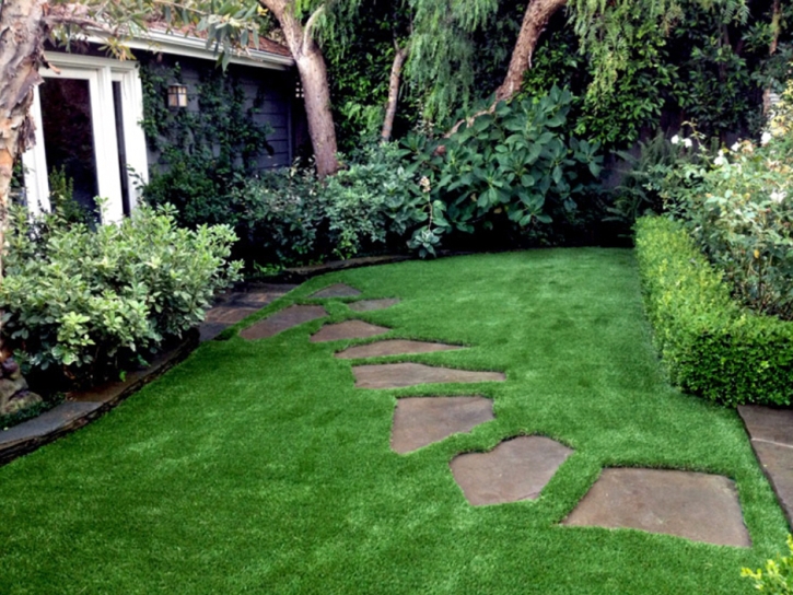 Outdoor Carpet Orange Cove, California Roof Top, Backyard Landscape Ideas