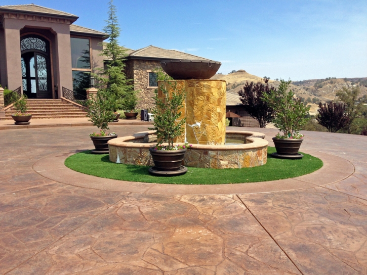 Outdoor Carpet Pine Valley, California City Landscape, Front Yard Landscape Ideas