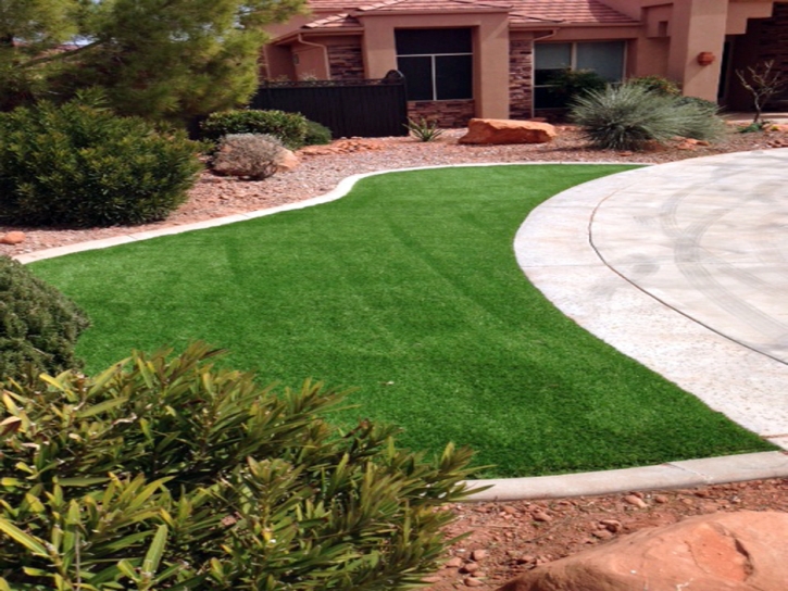 Outdoor Carpet Trabuco Canyon, California Landscape Ideas, Front Yard Landscape Ideas