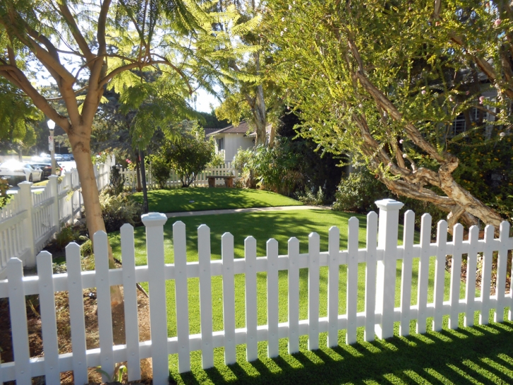 Plastic Grass Arvin, California Landscaping, Front Yard Ideas