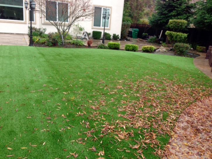 Plastic Grass Lucerne, California Garden Ideas, Backyard Designs