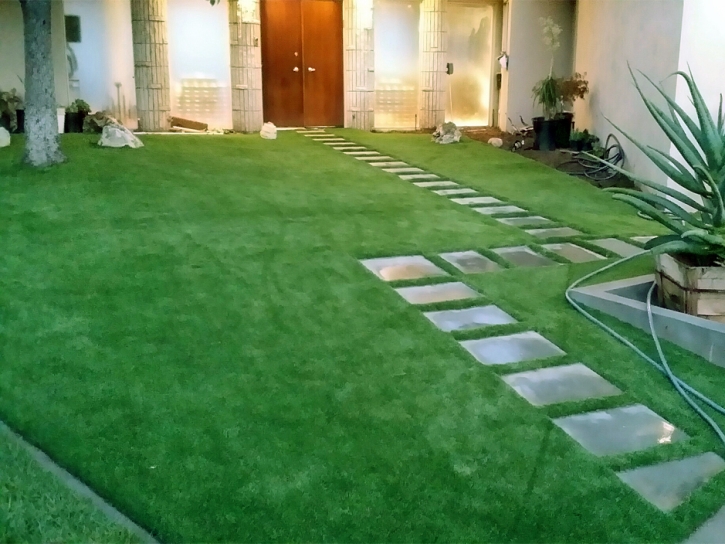 Plastic Grass Winter Gardens, California Design Ideas, Front Yard Design