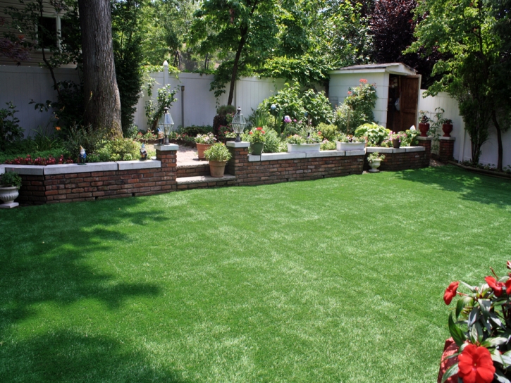 Synthetic Grass Adelanto, California Gardeners, Backyard Garden Ideas