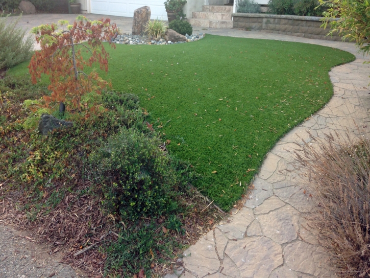 Synthetic Grass Cost Biola, California Artificial Grass For Dogs, Backyard Designs