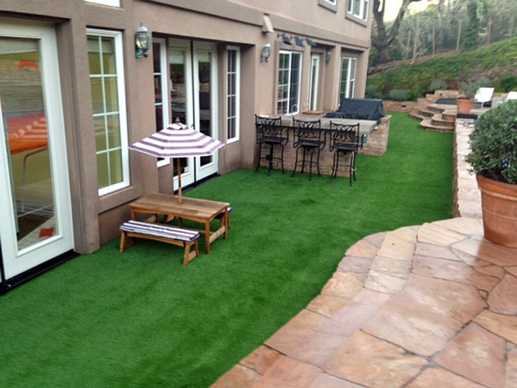 Synthetic Grass Cost Groveland, California Landscape Photos, Backyard Designs