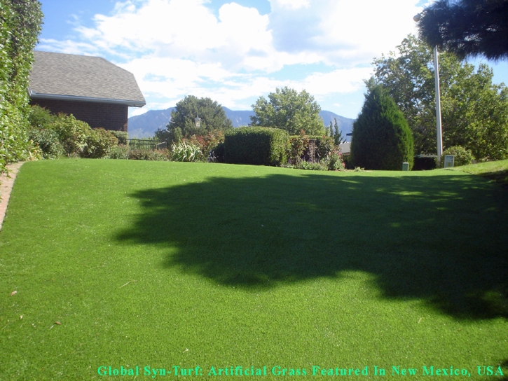 Synthetic Grass Cost Hollywood, California Dog Parks, Backyard Designs