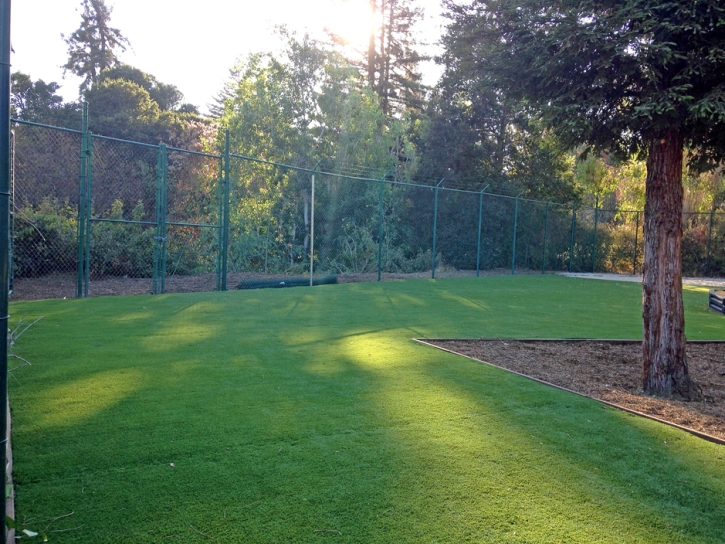 Synthetic Grass Cost Lake Forest, California Lawn And Garden, Recreational Areas