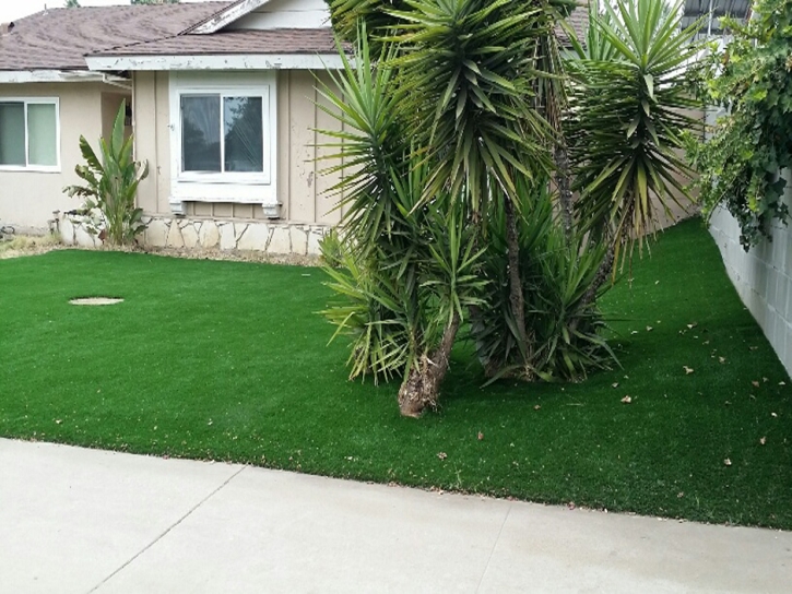 Synthetic Grass Cost Mexican Colony, California Landscape Ideas, Front Yard Ideas