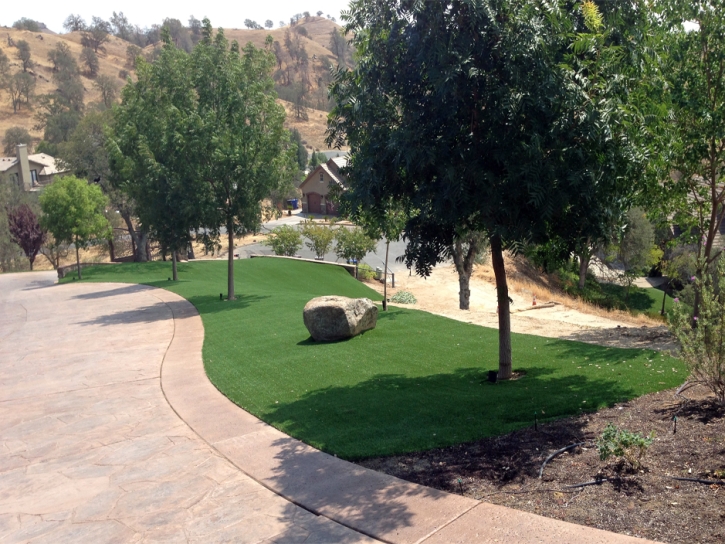 Synthetic Grass Cost Montclair, California Landscape Photos, Front Yard Landscaping