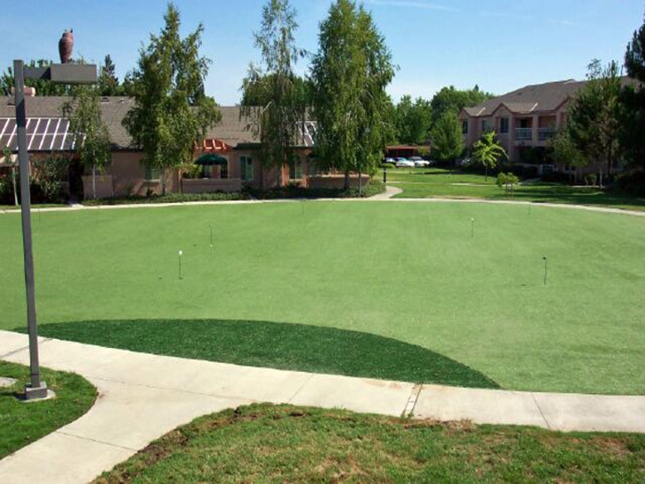 Synthetic Grass Cost Randsburg, California Landscaping Business, Commercial Landscape