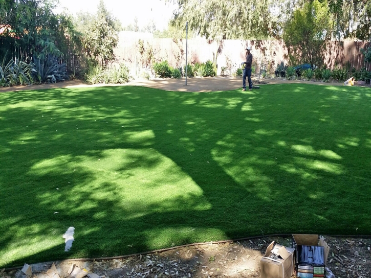 Synthetic Grass Cost Ridgecrest, California Design Ideas, Backyard Design