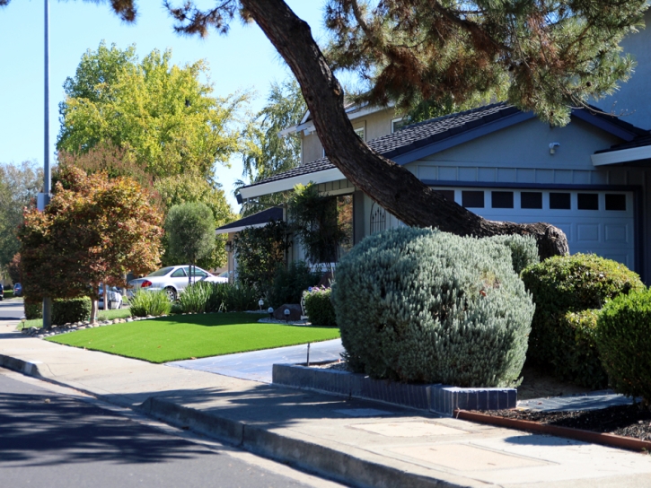 Synthetic Grass Cost Solvang, California Rooftop, Front Yard Landscaping