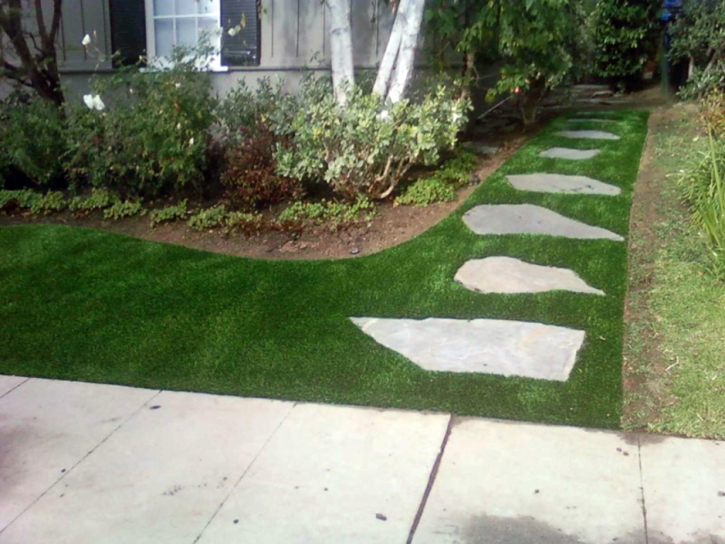 Synthetic Grass Keeler, California Landscape Photos, Front Yard Ideas