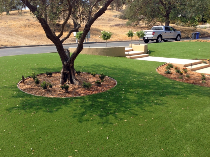 Synthetic Grass Keene, California Landscaping Business, Front Yard Landscaping Ideas