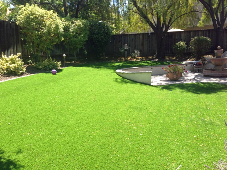 Synthetic Grass La Habra, California Rooftop, Backyard Designs