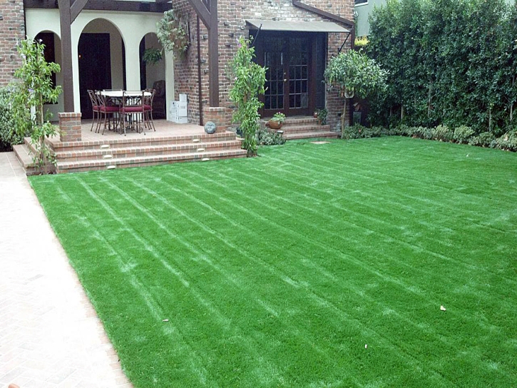 Synthetic Grass Lake Hughes, California Lawns, Front Yard Landscape Ideas