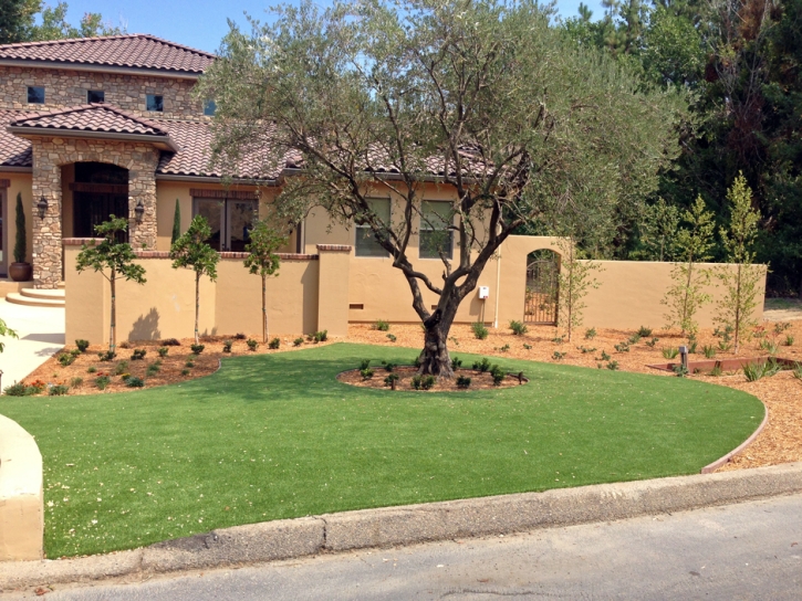 Synthetic Grass Los Serranos, California Landscape Ideas, Front Yard Design