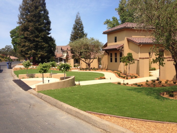 Synthetic Grass Newport Beach, California Landscaping Business, Front Yard Design