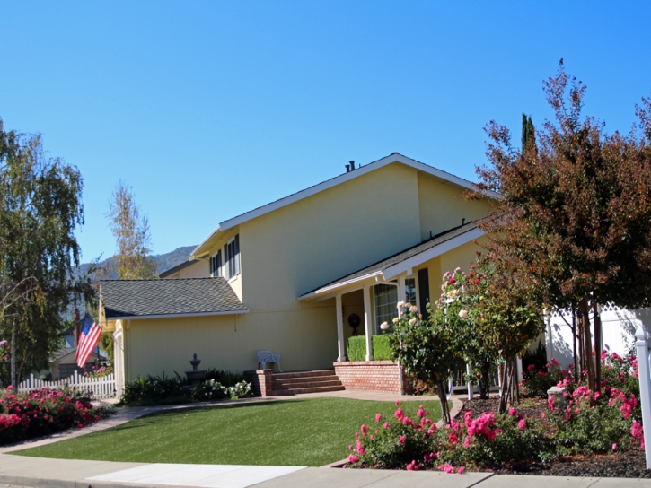 Synthetic Grass Palo Verde, California Lawns, Front Yard Landscaping