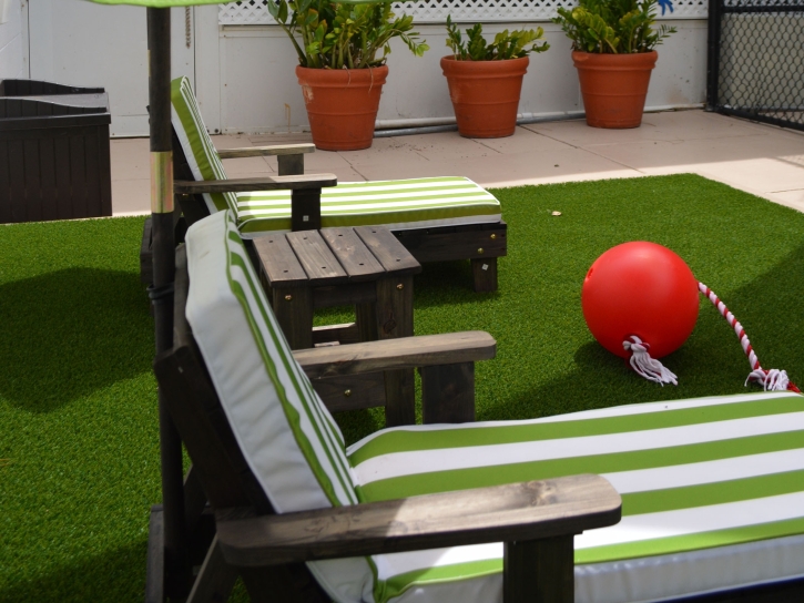 Synthetic Grass Riverbank, California Landscaping Business, Roof Top