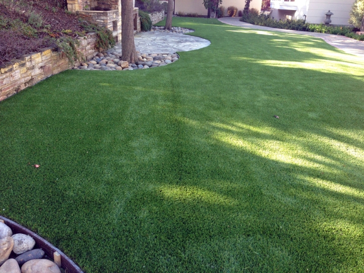 Synthetic Grass Waukena, California Drainage, Backyard Makeover