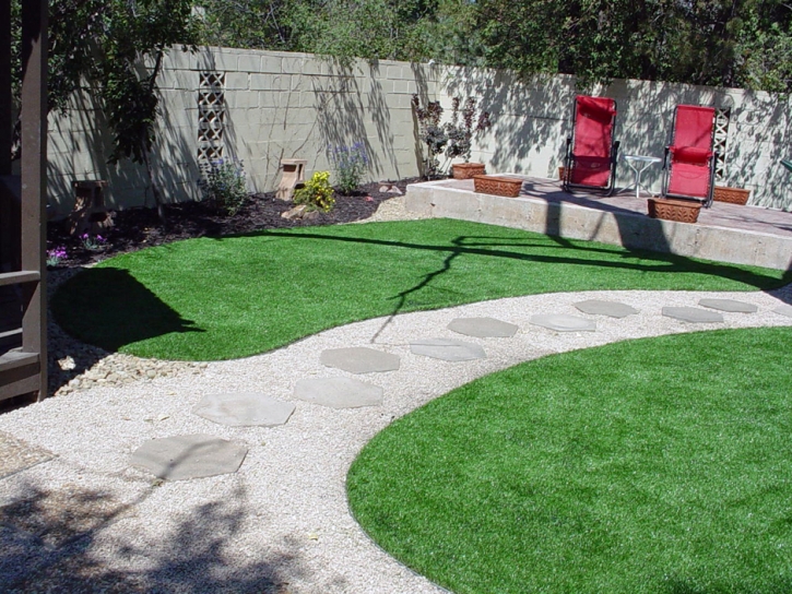 Synthetic Lawn Aliso Viejo, California City Landscape, Backyard Landscape Ideas