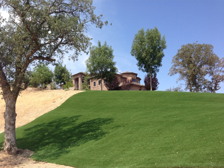 Synthetic Lawn Chino, California Landscape Photos, Front Yard