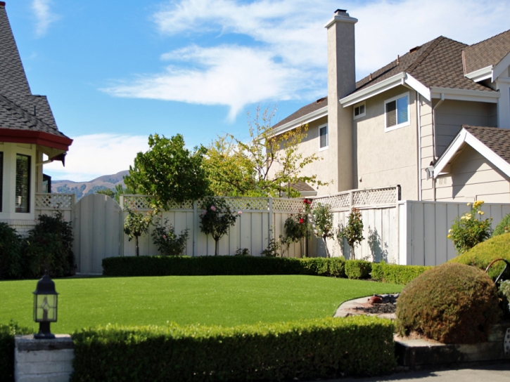 Synthetic Lawn Crest, California Landscape Photos, Front Yard Landscape Ideas