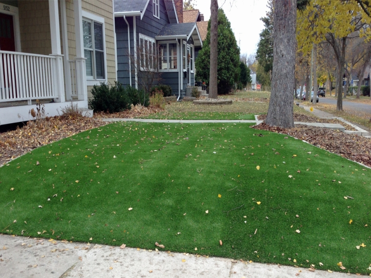 Synthetic Lawn Fillmore, California Roof Top, Front Yard Design